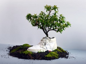 vente-chaussures-écologiques